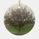 Search for apple blossom christmas tree decorations Floral