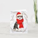 Search for malamute christmas cards Pets