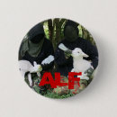 Search for mammals badges Animals