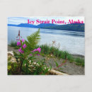 Search for straits postcards Vacation