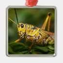 Search for grasshopper christmas tree decorations Bug