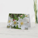 Search for delaware photography Flowers