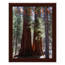 Search for decorator posters Nature