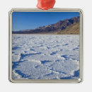 Search for death valley christmas tree decorations National park
