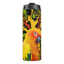 Search for sun conure Tropical