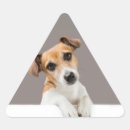 Search for jack russell stickers Puppy