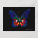 Search for backdrop postcards Butterfly