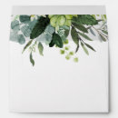 Search for eucalyptus envelopes Green and white