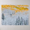 Search for fall colours posters Forest