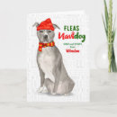 Search for funny pitbull christmas cards Dogs