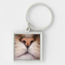 Search for noses key rings Domestic animals