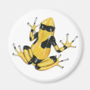 Search for dart frog Nature