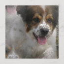 Search for australian invitations Pets