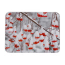 Search for made in the usa christmas cards Winter
