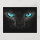 Search for cat face postcards Black