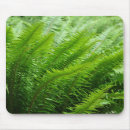 Search for lush green mouse mats Fern