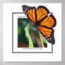 Search for christian butterflies art Bible