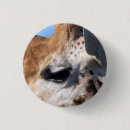 Search for giraffe pictures badges Mammal