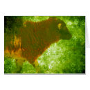Search for wool photography Lamb