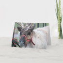Search for male christmas cards Cute