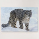 Search for snow leopard puzzles Winter
