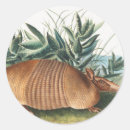 Search for banded stickers Wildlife