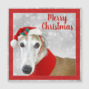 Search for greyhound christmas cards Lurcher