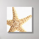 Search for fish canvas prints Sealife