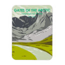 Search for arctic magnets Souvenir