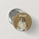Search for prairie badges Animals