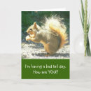 Search for squirrel photo cards Humour