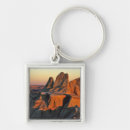 Search for roosevelt key rings Environment