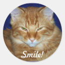 Search for smiling cat stickers Animal