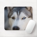 Search for malamute mouse mats Siberian husky