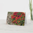 Search for shrubs cards Garden