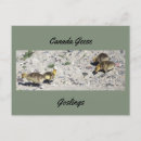 Search for gosling postcards Wildlife