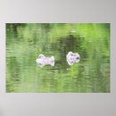 Search for gosling posters Photography