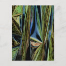 Search for digital photo postcards Abstract