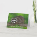 Search for raccoons note cards Animal