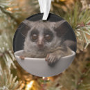 Search for cute monkey christmas tree decorations Zoo