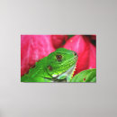 Search for iguana canvas prints Reptile