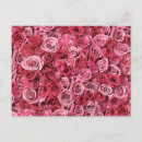 Search for rose background postcards Floral