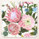 Search for protea coasters Tropical