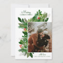 Search for winter christmas cards Foliage