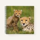 Search for cheetah notebooks Wild animals