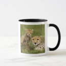 Search for spotted cat mugs Nature