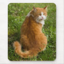 Search for red haired mouse mats Animal