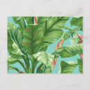 Search for vintage banana postcards Tropical