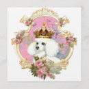 Search for poodle cards invites White