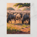 Search for savannah postcards Animal